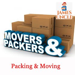 Packing and moving Mr. Amit Majumdar in Baguiati